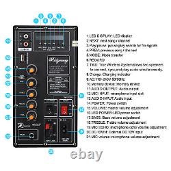 Dual 10? Subwoofer Bluetooth Speaker Rechargable Party Speaker with LED FM Karaok