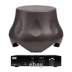 Haut-parleur de basse extérieur Forza 10 + Amplificateur de basse de classe D SMP200