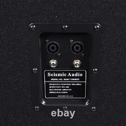 Seismic Audio Vide 15 Pouces Pro Audio Subwoofer Cabinet Pa / Band / Dj / Kj